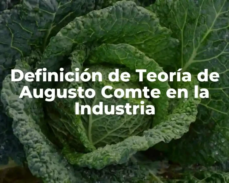 Definición de Teoría de Augusto Comte en la Industria