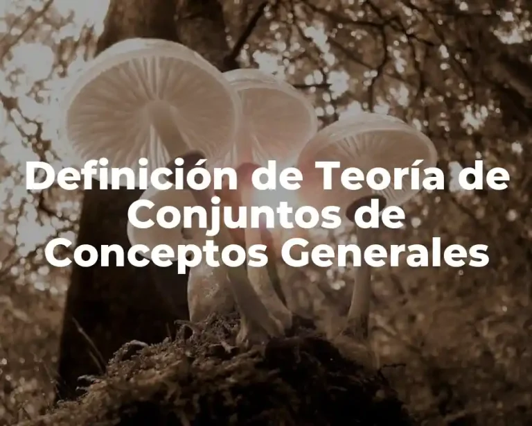 Definición de Teoría de Conjuntos de Conceptos Generales