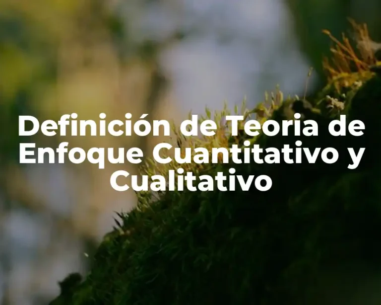 Definición de Teoria de Enfoque Cuantitativo y Cualitativo