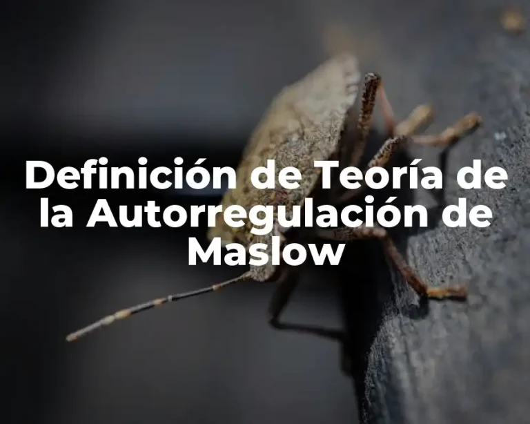 Definición de Teoría de la Autorregulación de Maslow