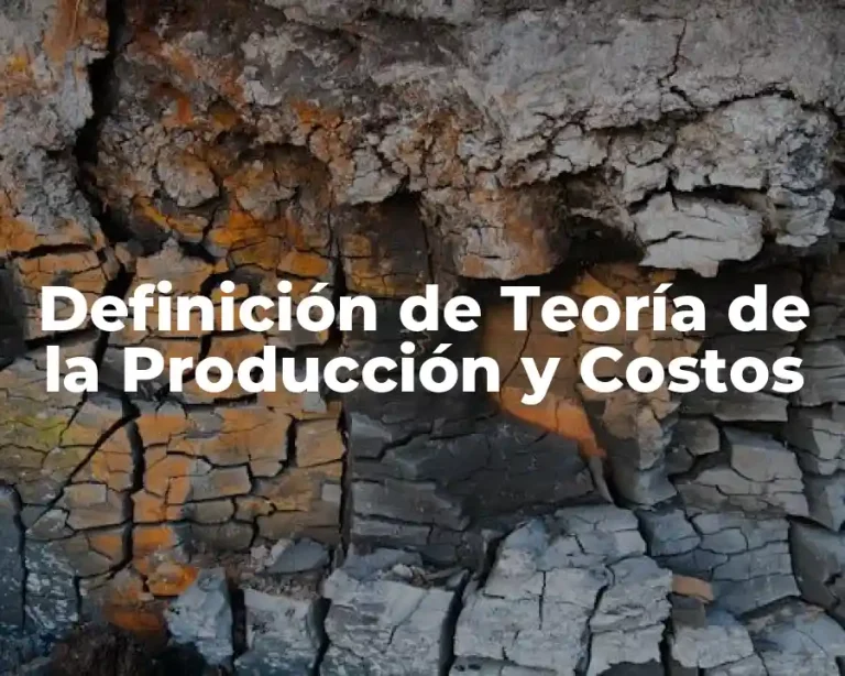 Definición de Teoría de la Producción y Costos