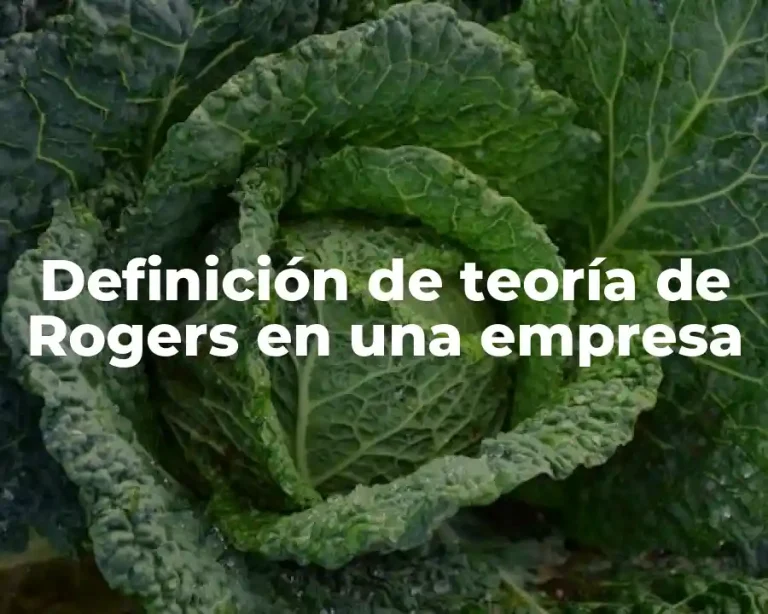 Definición de teoría de Rogers en una empresa