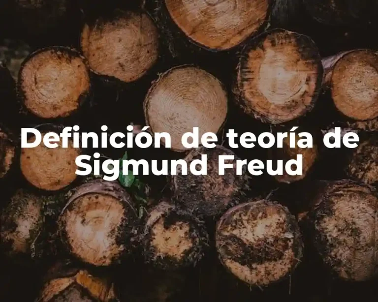 Definición de teoría de Sigmund Freud
