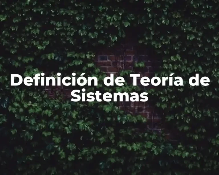 Definición de Teoría de Sistemas