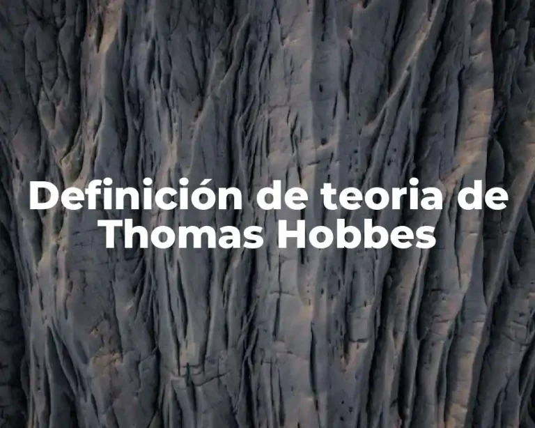 Definición de teoria de Thomas Hobbes