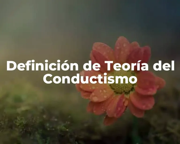 Definición de Teoría del Conductismo