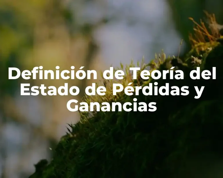 Definición de Teoría del Estado de Pérdidas y Ganancias