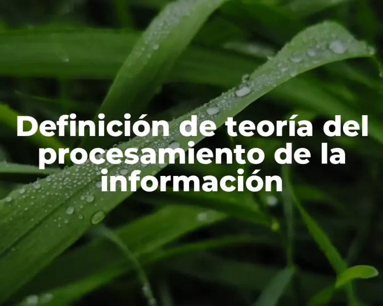 Definición de teoría del procesamiento de la información