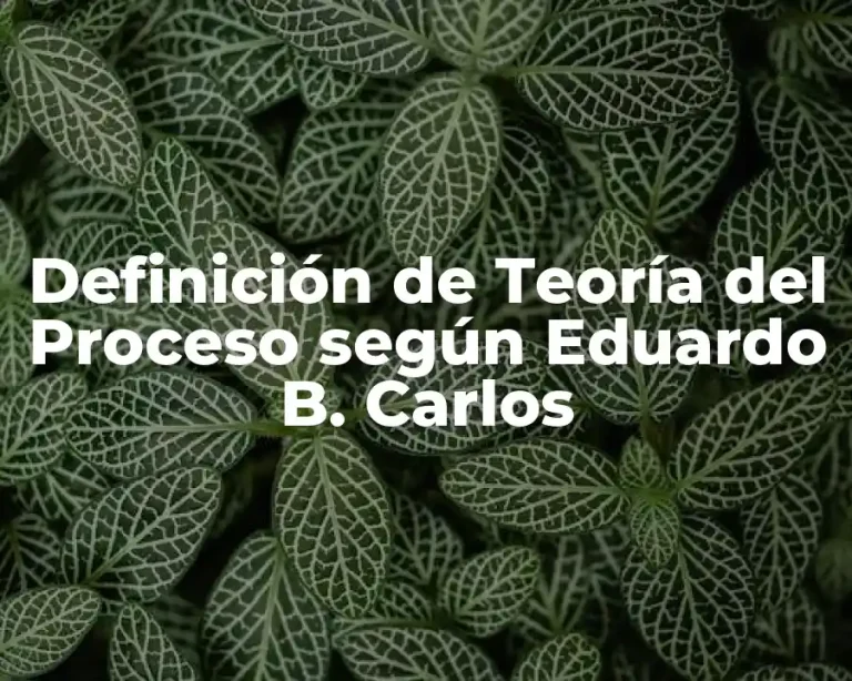 Definición de Teoría del Proceso según Eduardo B. Carlos