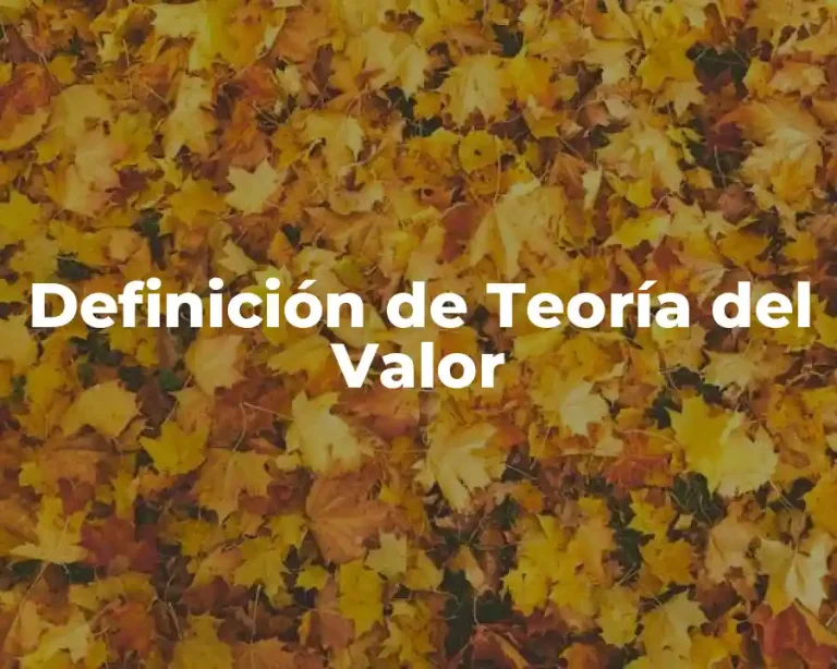 Definición de Teoría del Valor