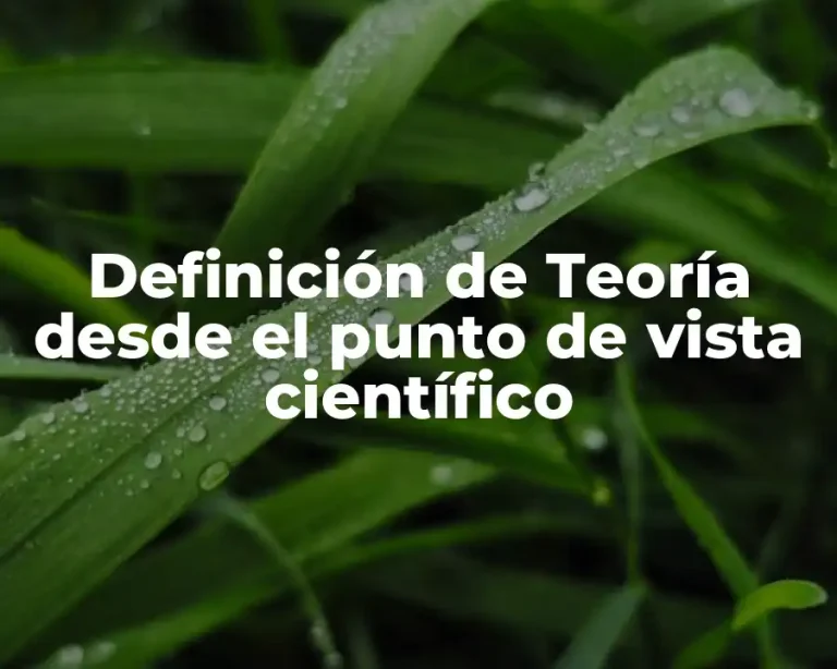 Definición de Teoría desde el punto de vista científico