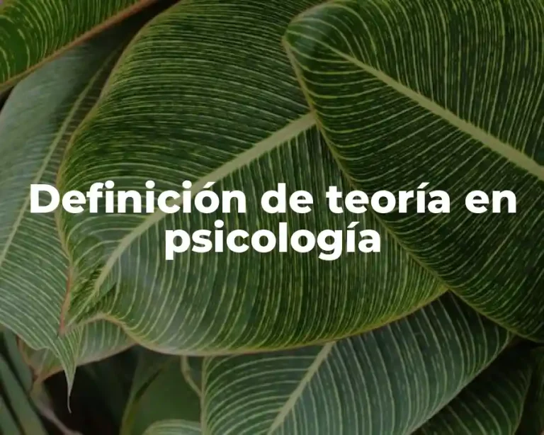 Definición de teoría en psicología