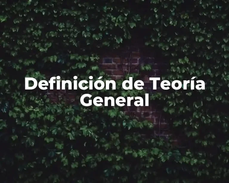 Definición de Teoría General