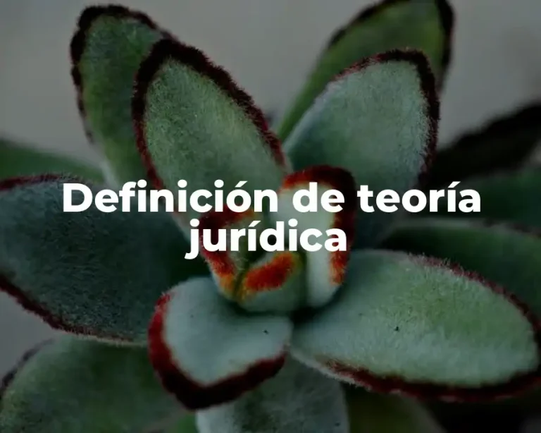 Definición de teoría jurídica