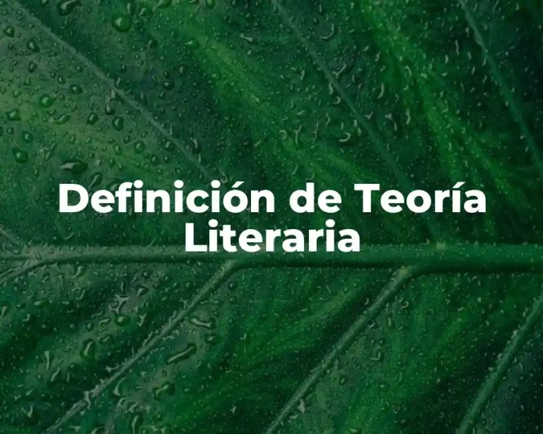 Definición de Teoría Literaria