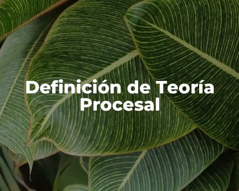 Definición de Teoría Procesal