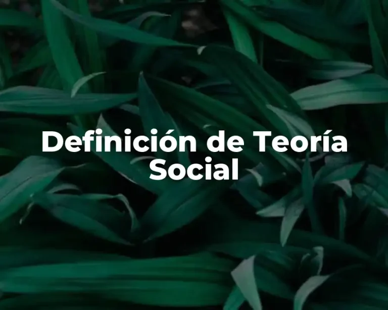 Definición de Teoría Social