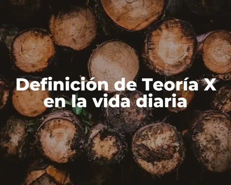 Definición de Teoría X en la vida diaria