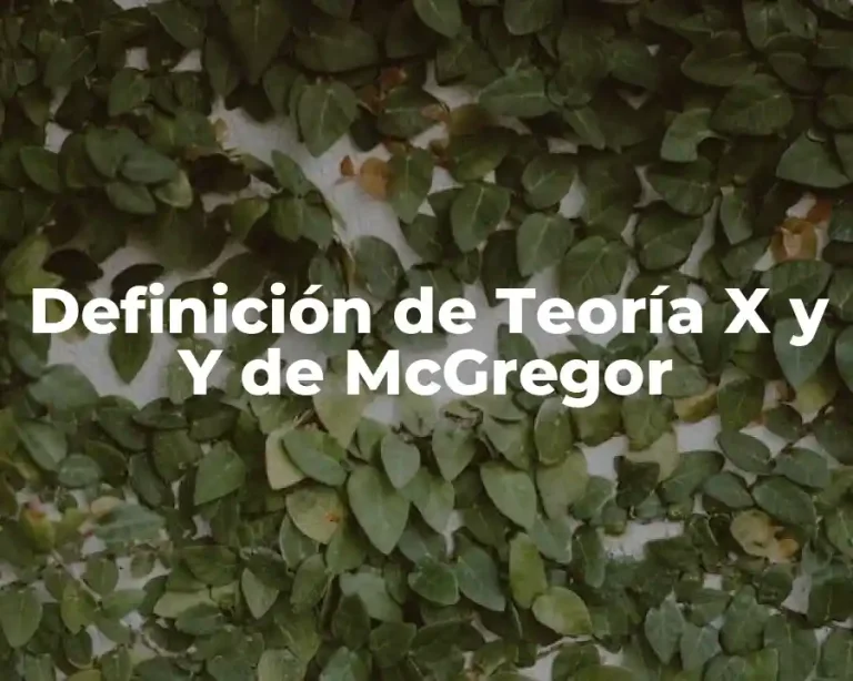 Definición de Teoría X y Y de McGregor
