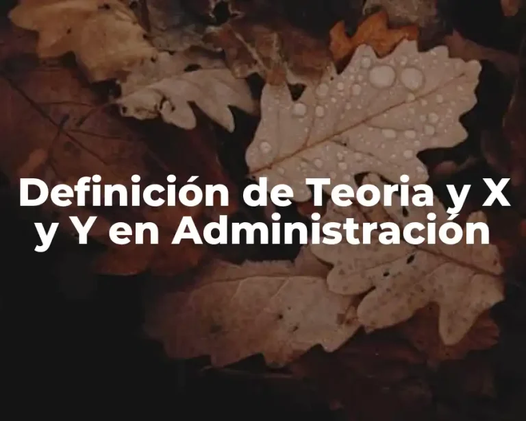 Definición de Teoria y X y Y en Administración