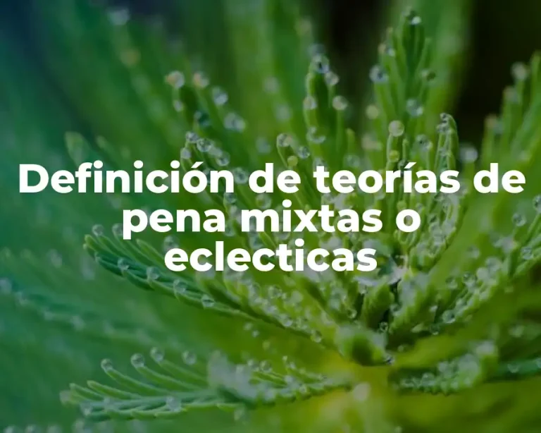 Definición de teorías de pena mixtas o eclecticas