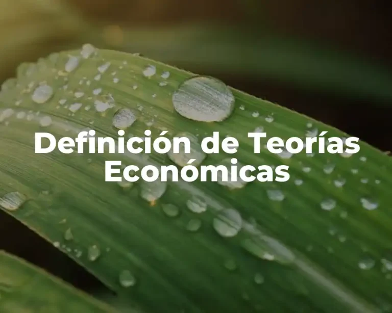 Definición de Teorías Económicas
