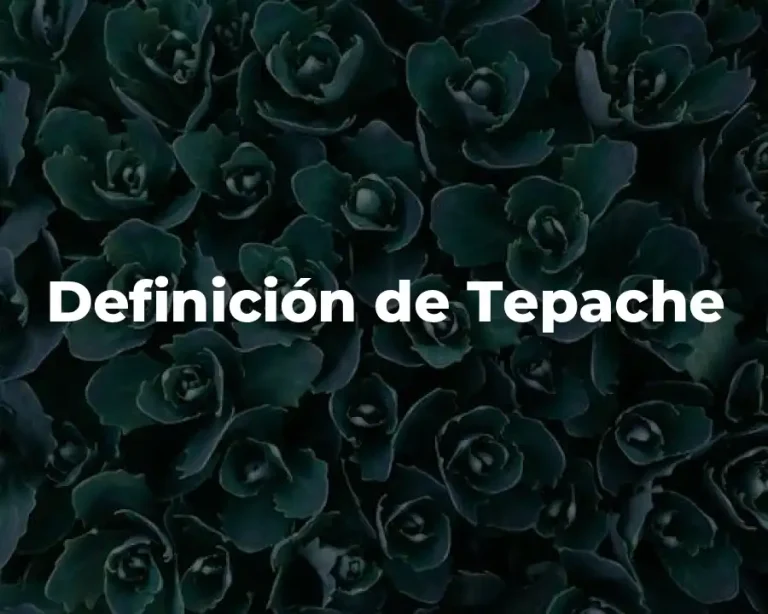 Definición de Tepache