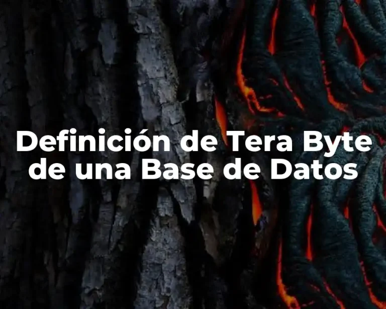 Definición de Tera Byte de una Base de Datos
