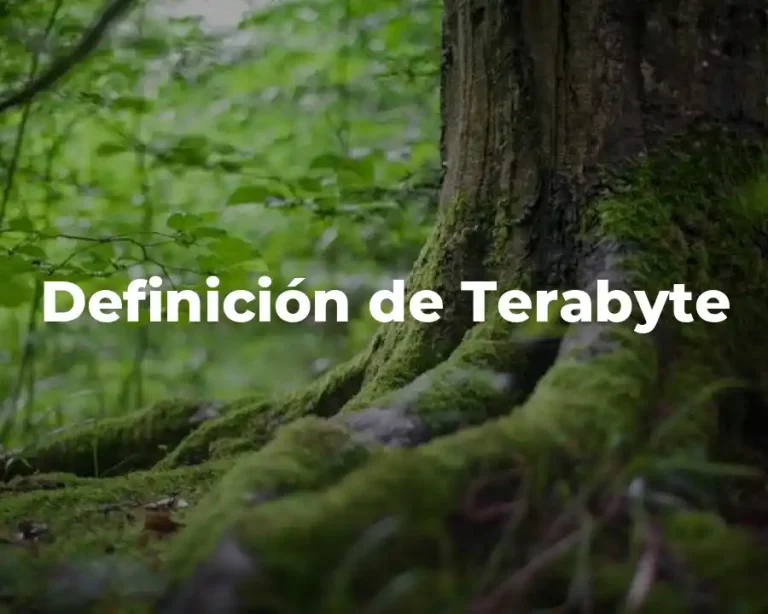 Definición de Terabyte