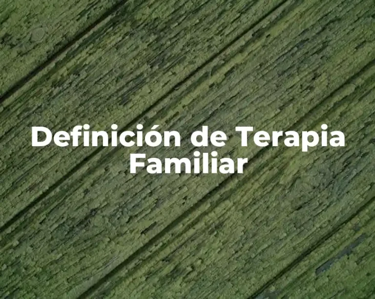 Definición de Terapia Familiar