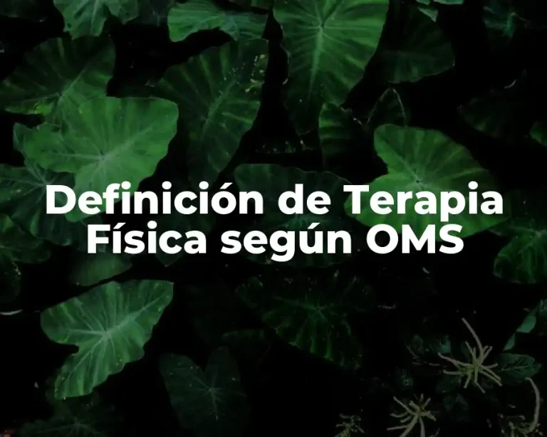 Definición de Terapia Física según OMS