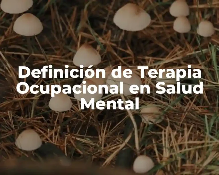 Definición de Terapia Ocupacional en Salud Mental