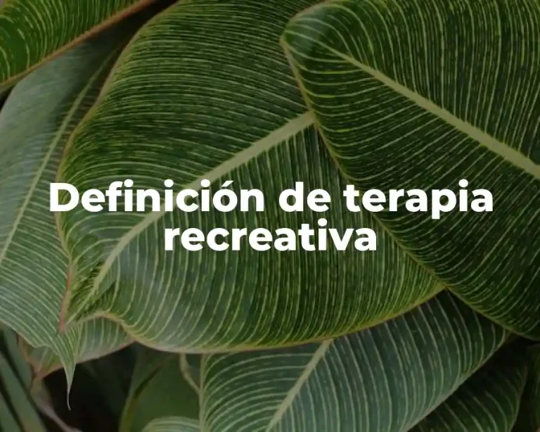 Definición de terapia recreativa