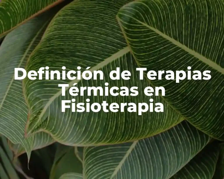 Definición de Terapias Térmicas en Fisioterapia