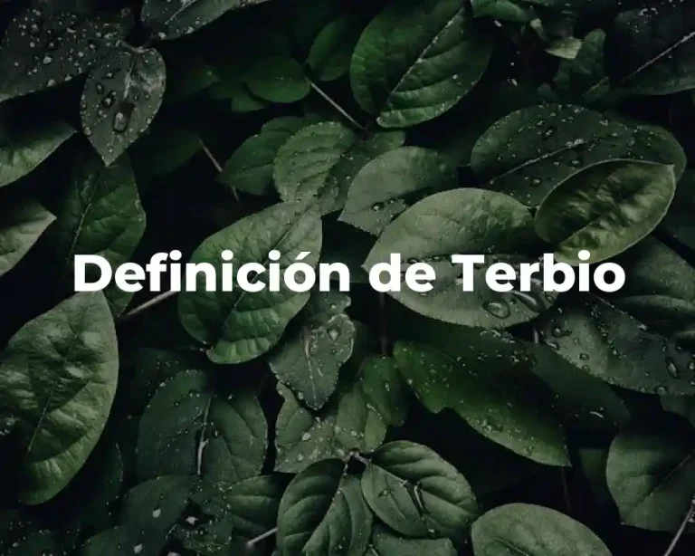 Definición de Terbio