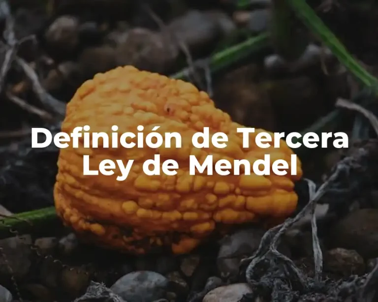Definición de Tercera Ley de Mendel