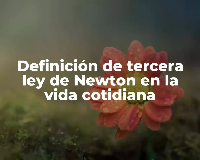 Definición de tercera ley de Newton en la vida cotidiana