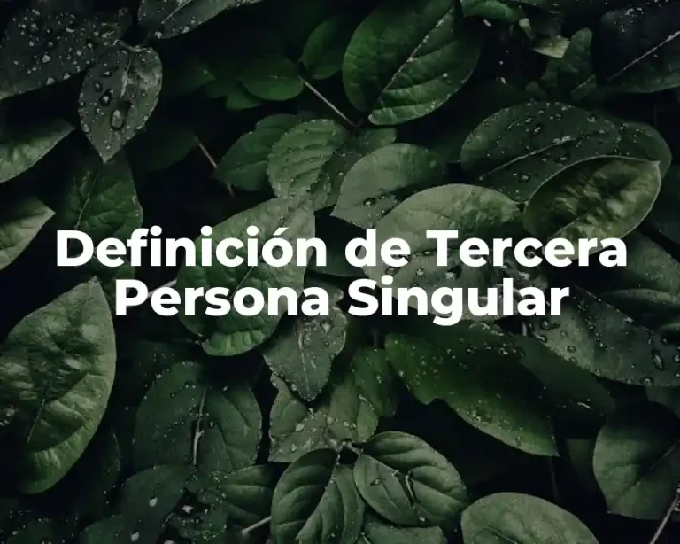Definición de Tercera Persona Singular