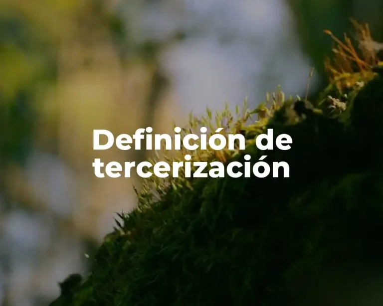 Definición de tercerización