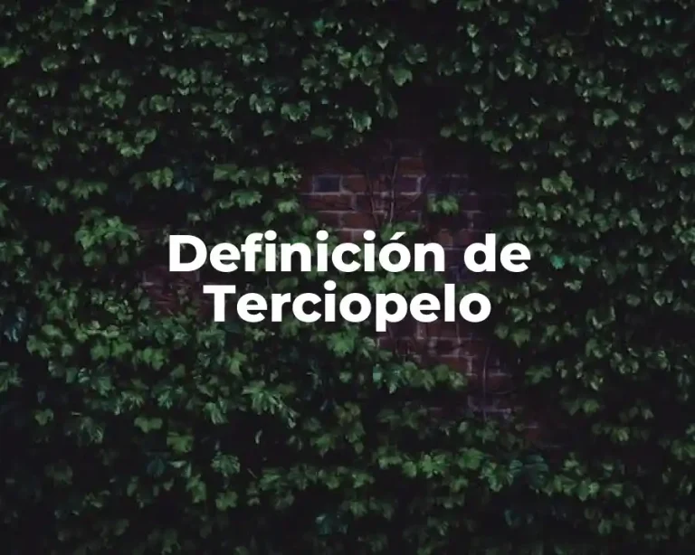 Definición de Terciopelo