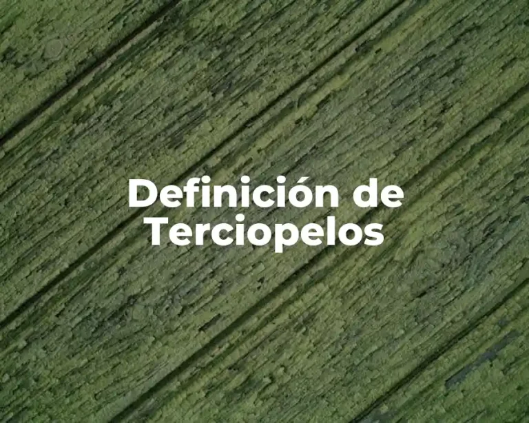 Definición de Terciopelos