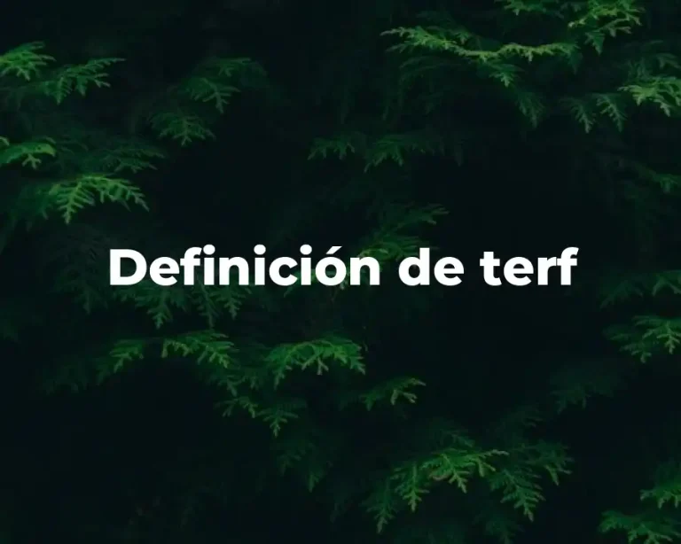 Definición de terf