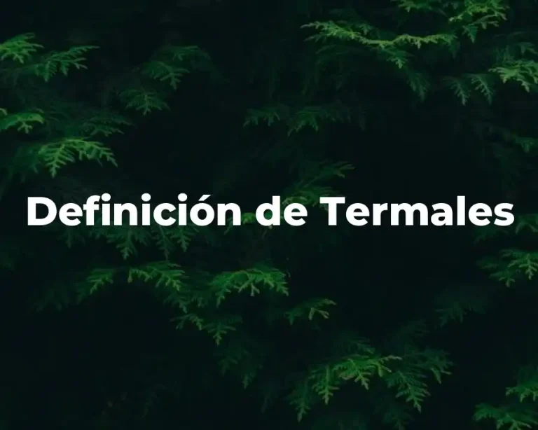 Definición de Termales