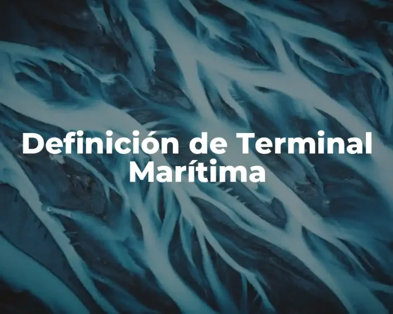 Definición de Terminal Marítima