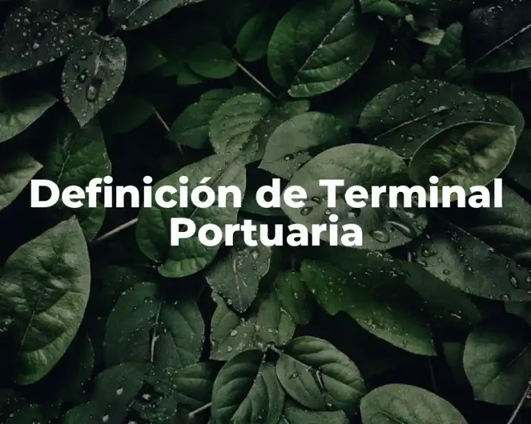 Definición de Terminal Portuaria