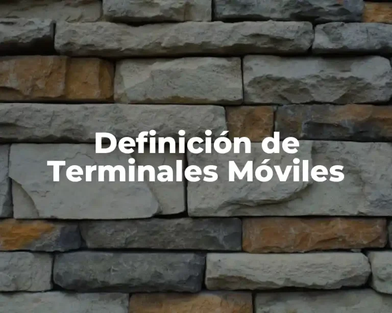 Definición de Terminales Móviles