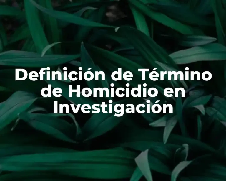 Definición de Término de Homicidio en Investigación