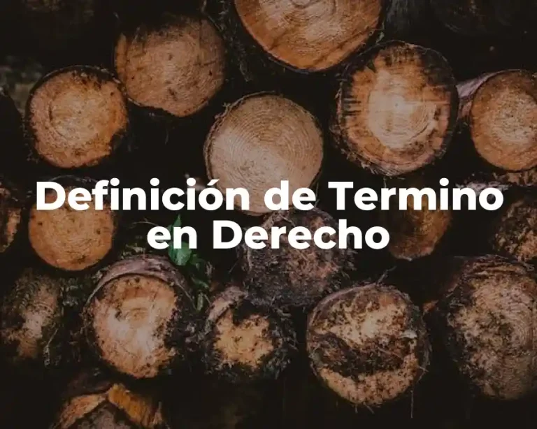 Definición de Termino en Derecho