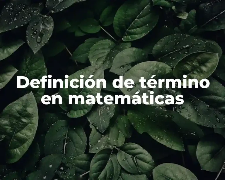 Definición de término en matemáticas
