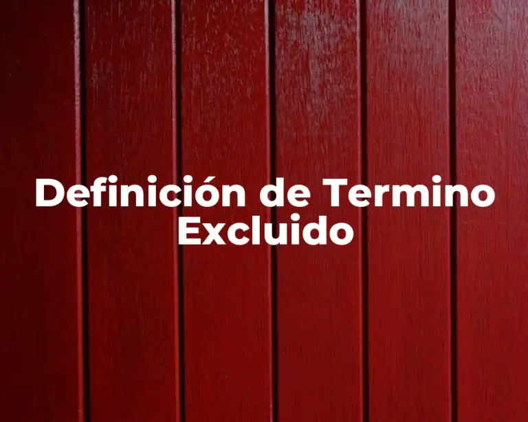 Definición de Termino Excluido